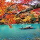 旺财28平台